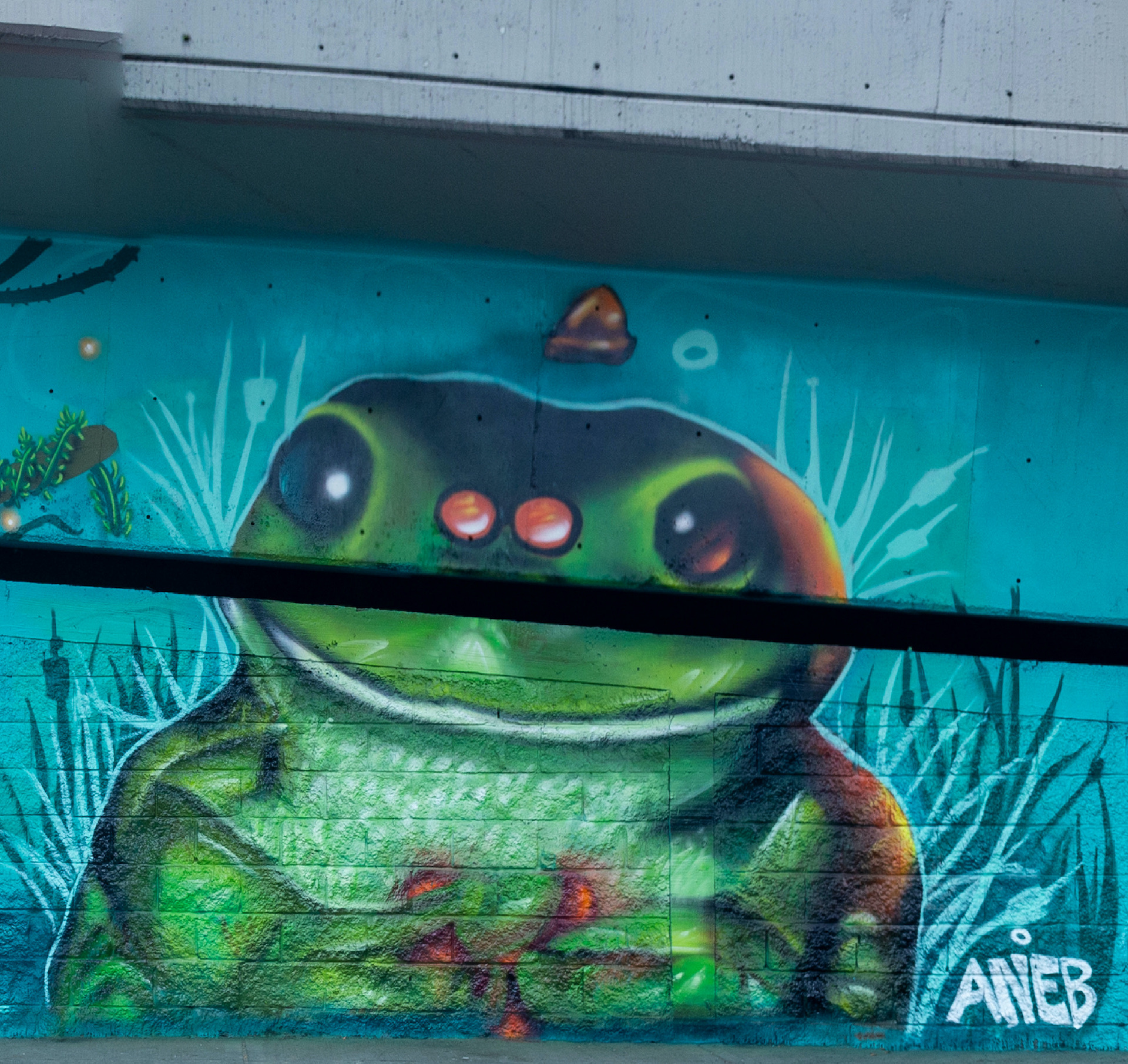Mural con una imagen de rana
