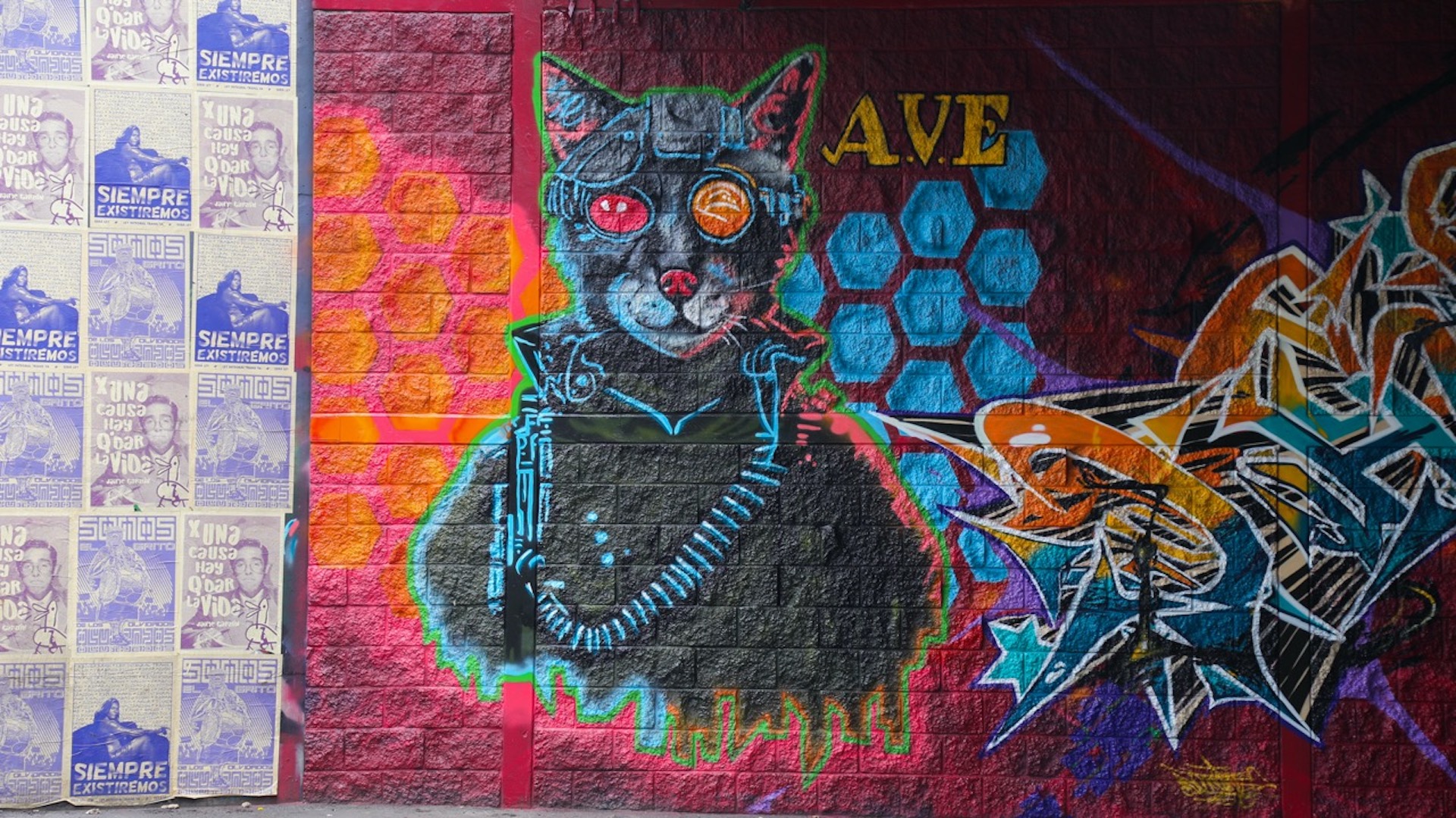 Cyber Cat - A.V.E