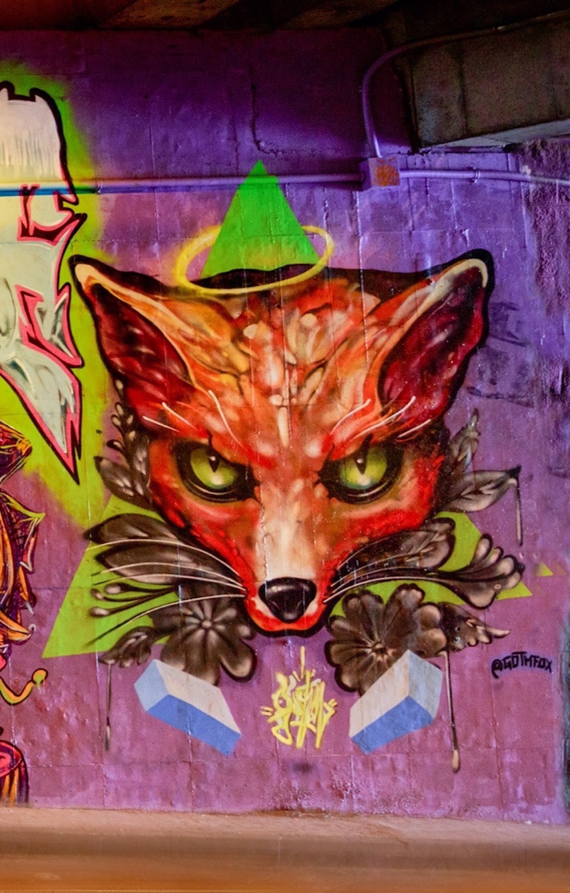 Gomt Fox