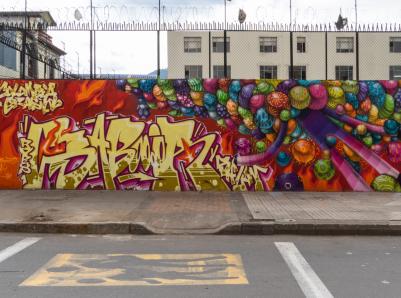 Robs oner (Bogotá) - Toz Viana (Rìo de Janeiro)  - Sabores y colores / Sabores e cores - Instituto técnico central - Cra 17 calle 14 - Bogotá.