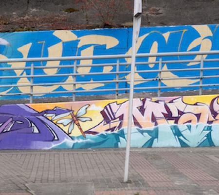 Volver al Agua, Memoria Viva de Suba