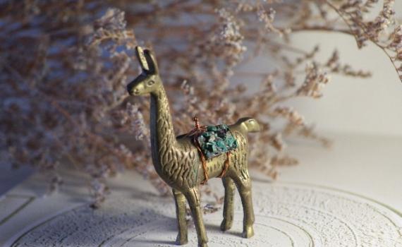 Fotografía de miniatura de alpaca
