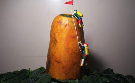 Fotografía de escultura Triatlón Domestico fruta papaya con elementos